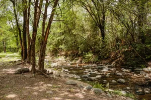 Fotos